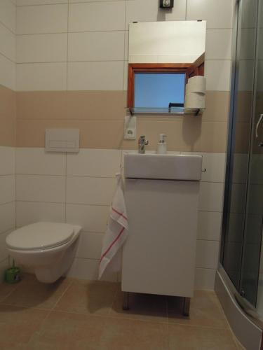 Un baño de Apartment Vlčice u Trutnova