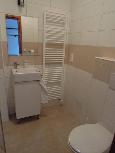 Koupelna v ubytování Apartment Vlčice u Trutnova