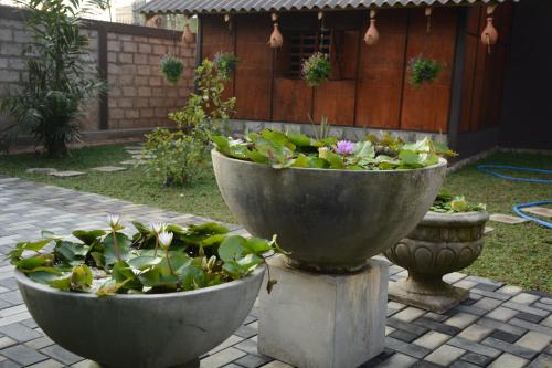 two large concrete planters with flowers in a garden at Negombo The Nature Villa and Cabanas in Negombo
