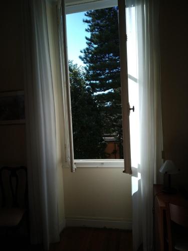 a window with a view of a tree in a room at Hotel Lucciola in Bordighera