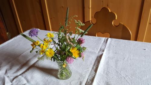 Fotografie z fotogalerie ubytování Rieserhof v destinaci Heinfels