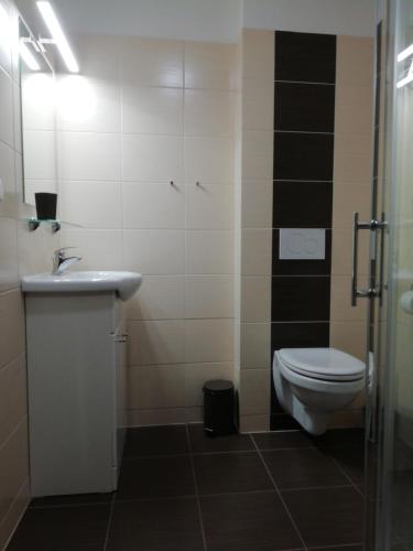 a bathroom with a toilet and a sink at Motorest U Kola in Prostějov