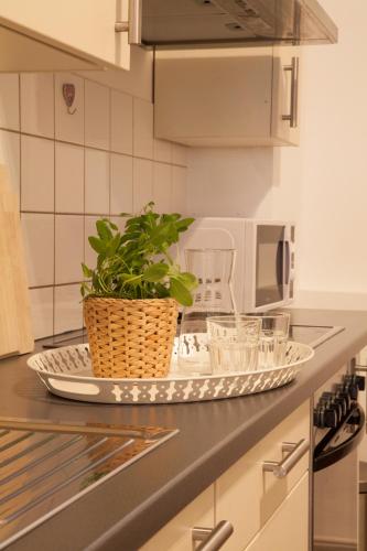 a tray with a plant on a counter in a kitchen at Heidelberg Apheartments in Heidelberg