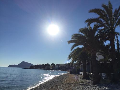a beach with palm trees and the sun in the sky at Can Elisa in Tárbena