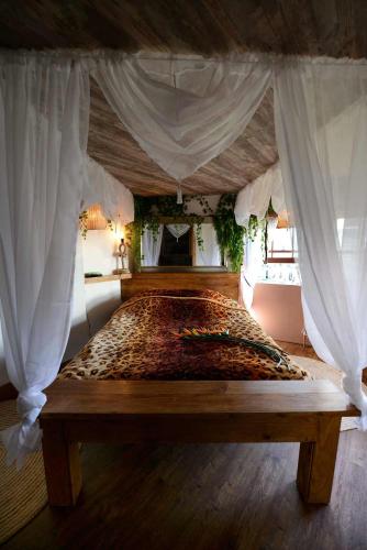 Hotel Pelirocco photo 121