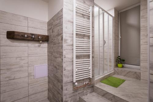 利托摩利斯的住宿－U svaté Ludmily，一间带淋浴的浴室,铺有绿色地毯