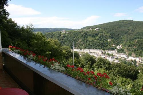 a balcony with flowers and a view of a valley at Berghotel Wintersberg in Bad Ems