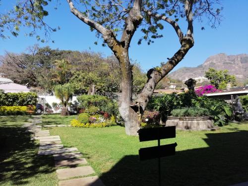 a park with a tree and a bench in the grass at Hotel Boutique Casa Fernanda in Tepoztlán