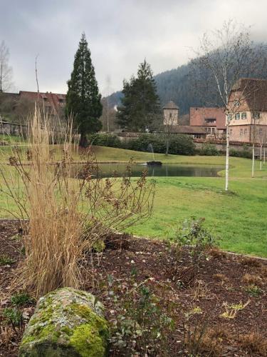 a park with a pond and a rock and grass at Hotel-Restaurant Gasthof zum Schützen in Baiersbronn