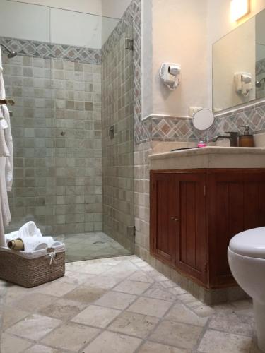 a bathroom with a shower and a sink and a toilet at Quinta Luna in Cholula