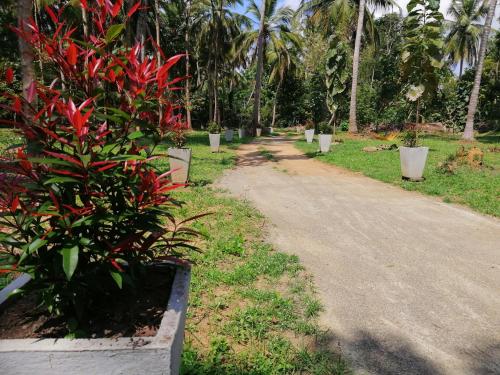 Un jardín fuera de Ama Villa