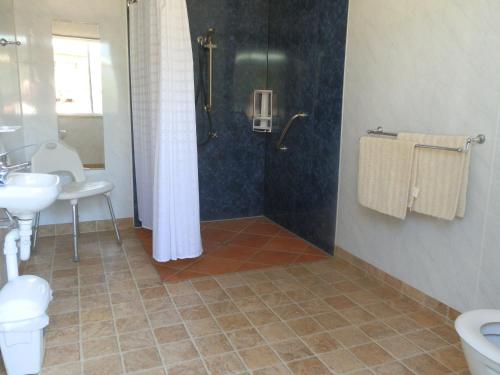 a bathroom with a shower and a toilet and a sink at PepperTree Cabins, Kingaroy in Kingaroy