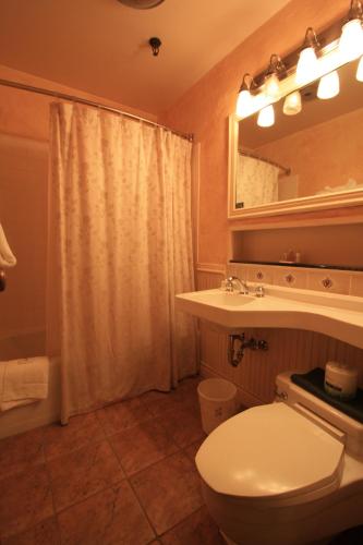a bathroom with a toilet and a sink and a mirror at The Alpenhof in Teton Village