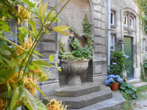 Cocooning Avignon photo 36