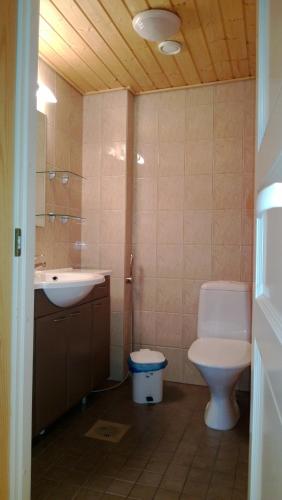 a bathroom with a toilet and a sink at Tervalepikon Torpat in Sysmä
