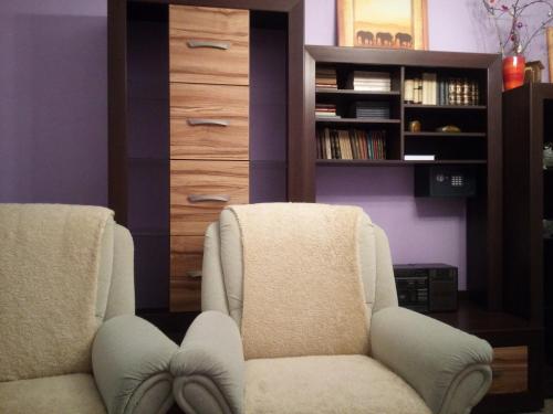 a living room with two chairs and a book shelf at Apartments České Středohoří in Teplice