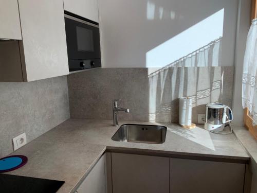 a kitchen with a sink and a counter top at Residence Bannwald in Valle Di Casies