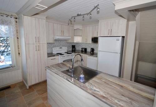 a kitchen with a sink and a white refrigerator at Chez-Vous au Village in Saint-Damien