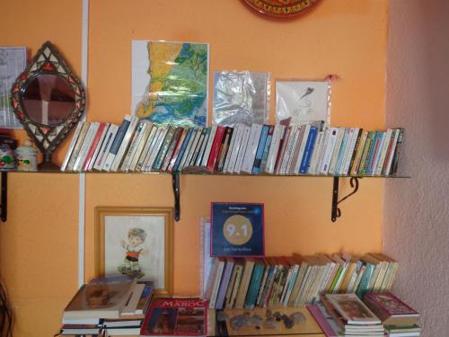 a shelf full of books on a wall at Les Tajines Bleus in Tamanar