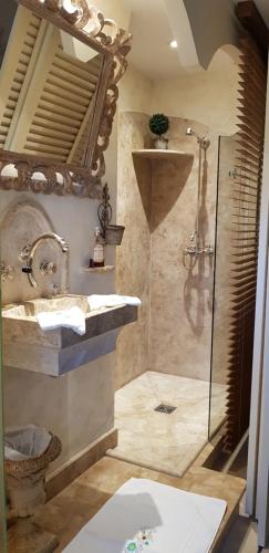 une salle de bain avec douche et lavabo dans l'établissement Chambres d'hôtes Jardin D'ivoire, à Saint-Gervais-la-Forêt