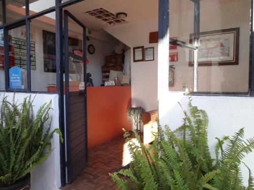 an entrance to a restaurant with plants in front of it at Hotel Posada El Gran Cipres in San Cristóbal de Las Casas