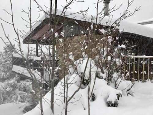 Chalet Patty&Co semasa musim sejuk