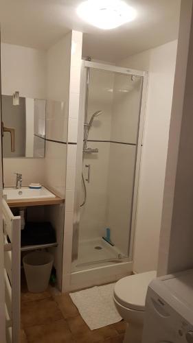 W łazience znajduje się prysznic, toaleta i umywalka. w obiekcie 10 Rue du Bourg Neuf w mieście Bruyères-le-Châtel