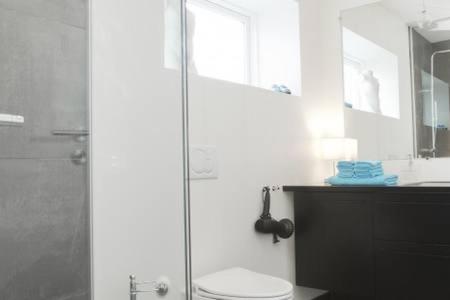 a bathroom with a shower and a toilet and a sink at City center, Tórshavn in Tórshavn