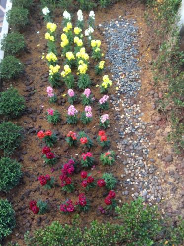 a row of flowers in a garden at Pupiang po Da Arte Resort in Dan Sai