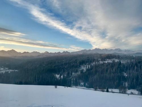 Φυσικό τοπίο κοντά σε αυτό το δωμάτιο σε οικογενειακή κατοικία