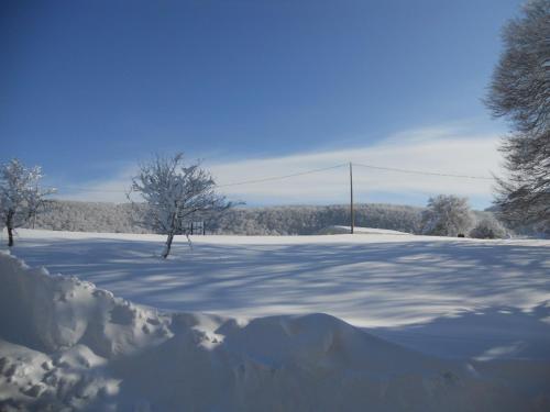 a snow covered field with trees and a pole at Borgo San Pietro in Agnone