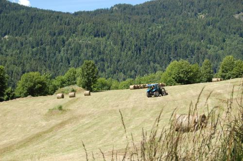 a tractor in a field with hay bales at Aparthotel Foyer d'antan SUITE con caminetto hammam o vasca idromassaggio in Brusson