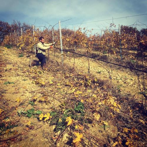 a man is standing next to a fence at Azienda Agricola Perconti in Cellino Attanasio