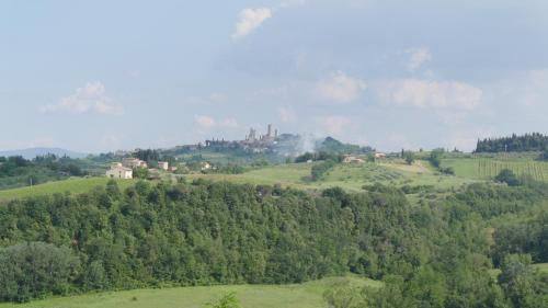 a castle on top of a green hill with trees at The Best View San Gimignano Apartments in San Gimignano