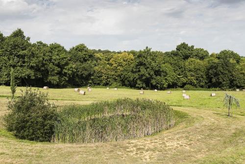 a herd of sheep grazing in a field at Maison Manechal in Monfaucon