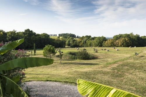 a field with a herd of animals in the distance at Maison Manechal in Monfaucon