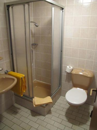 La salle de bains est pourvue d'une douche, de toilettes et d'un lavabo. dans l'établissement "Unter den Kastanien", à Speicher
