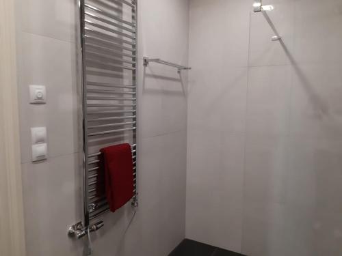 a bathroom with a shower with a red towel at Praha white gardens in Prague