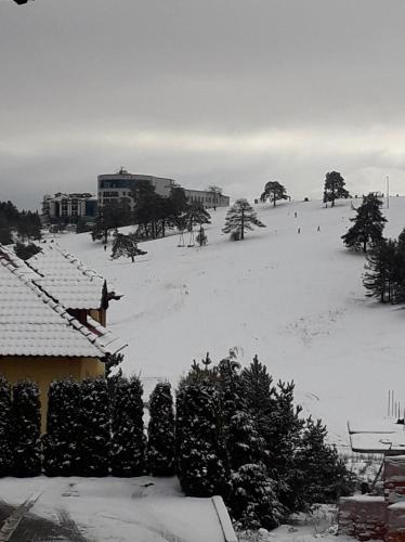Fotografie z fotogalerie ubytování Apartman Gogi v destinaci Zlatibor