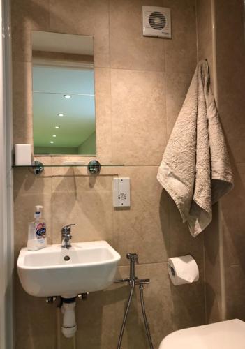 a bathroom with a sink and a toilet and a mirror at Agars Place, Datchet in Datchet