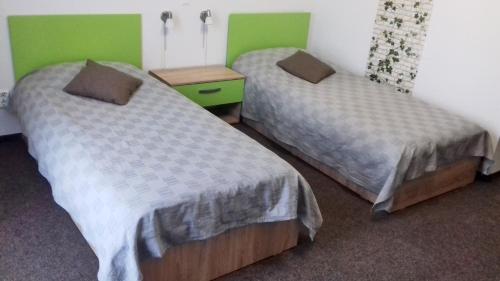 two beds in a room with green walls at Vila William’s in Braşov
