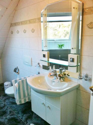 a bathroom with a sink and a mirror and a toilet at Ferienwohnung Grün in Schweigen-Rechtenbach