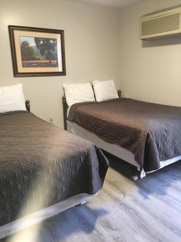 ルイスバーグにあるAll Suites Inn Budget Hostのベッド2台が隣同士に設置された部屋です。
