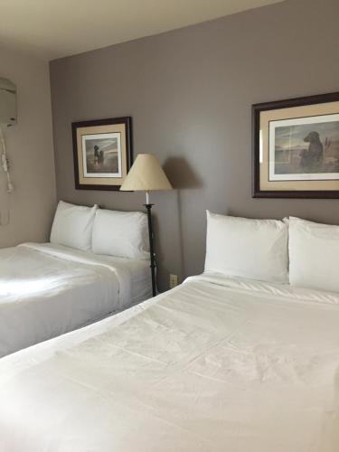 Ένα ή περισσότερα κρεβάτια σε δωμάτιο στο All Suites Inn Budget Host