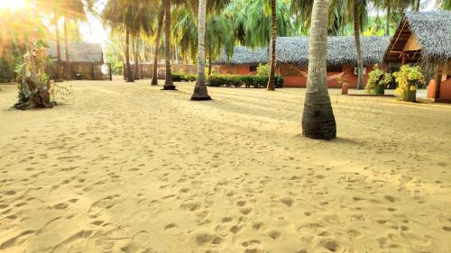 a row of palm trees on a sandy beach at Roshanne Beach Resort in Kalpitiya