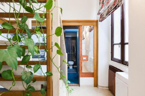 un couloir avec une porte bleue et une plante dans l'établissement RIPAMONTI 22, à Milan