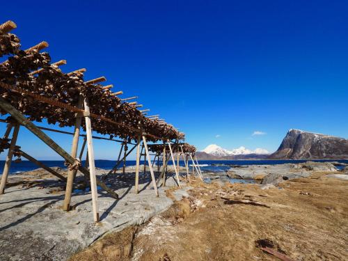 a row of wooden structures on a rock near the water at Beach View Lofoten in Bøstad