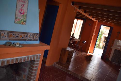 a cat sitting in a living room with a fireplace at Complejo Sol de Valizas in Barra de Valizas