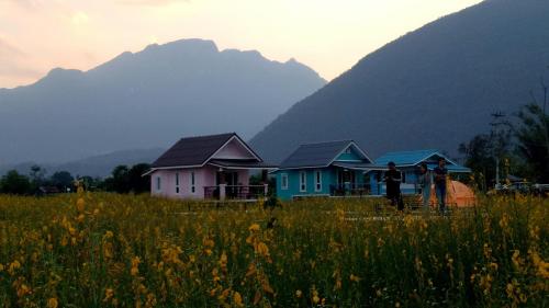 a group of houses in a field with a mountain at Ban Thung Talay Mok Chiangdao in Chiang Dao