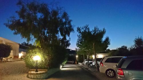 Φωτογραφία από το άλμπουμ του LA CASA AL MARE a Peschici σε Peschici
